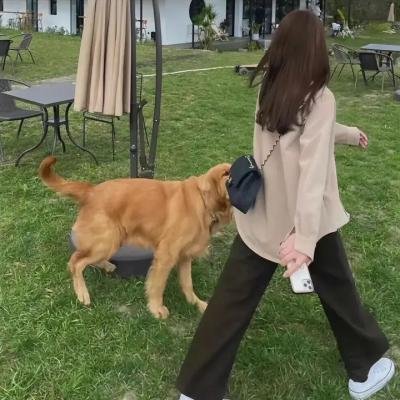 安妮回忆录